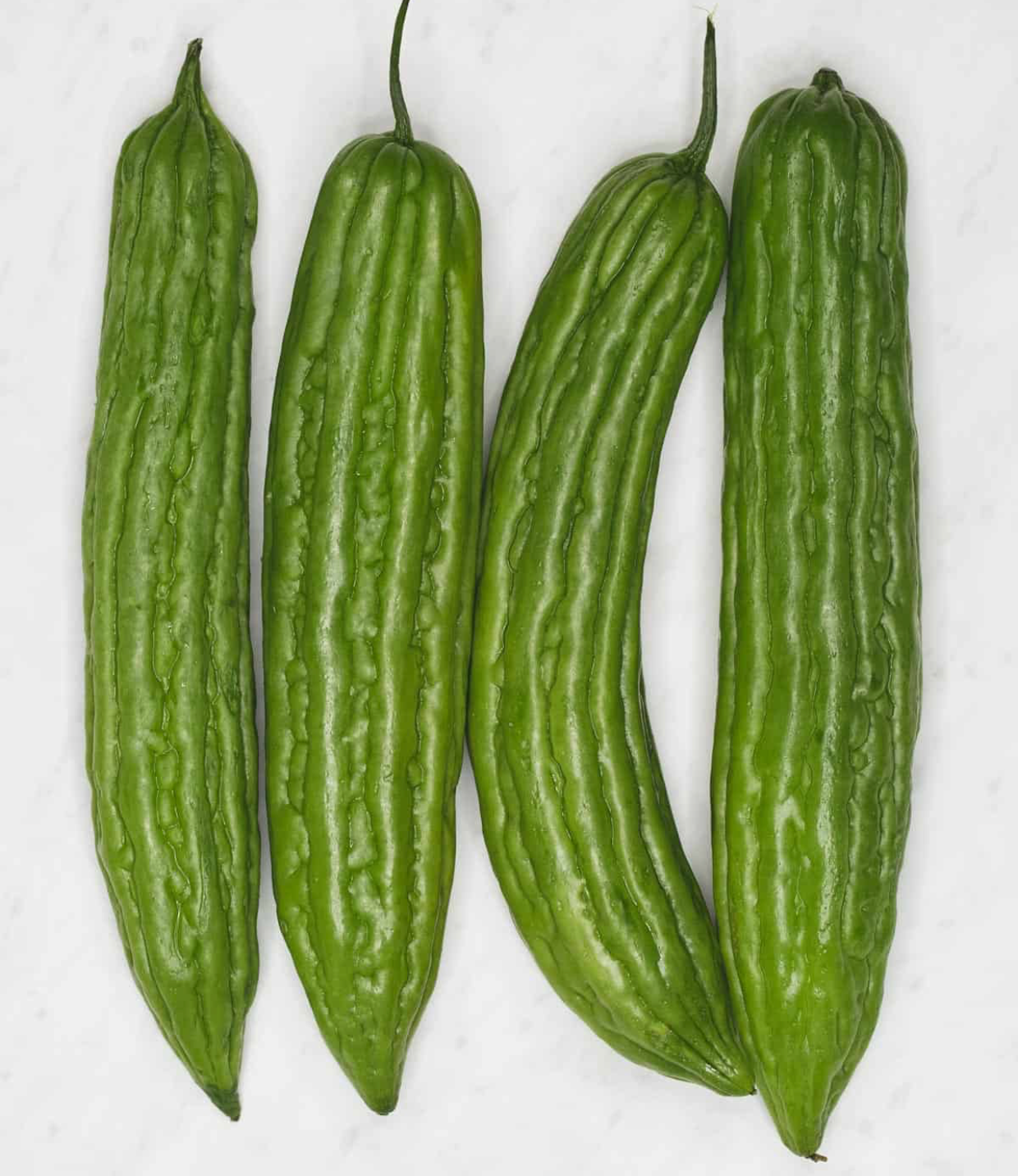 BITTERMELON