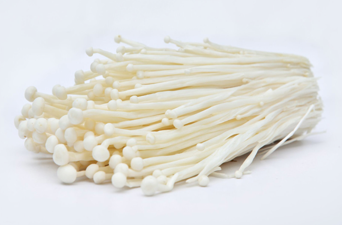 ENOKI MUSHROOM