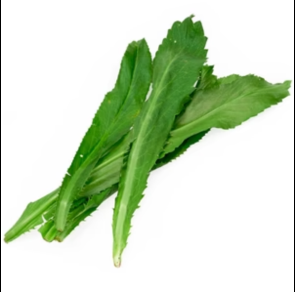 CULANTRO