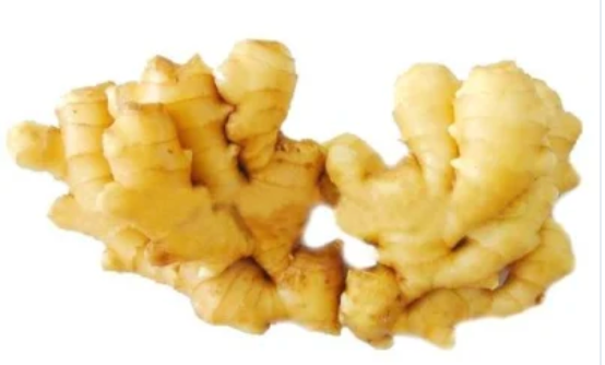 GINGER