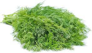 BABY DILL