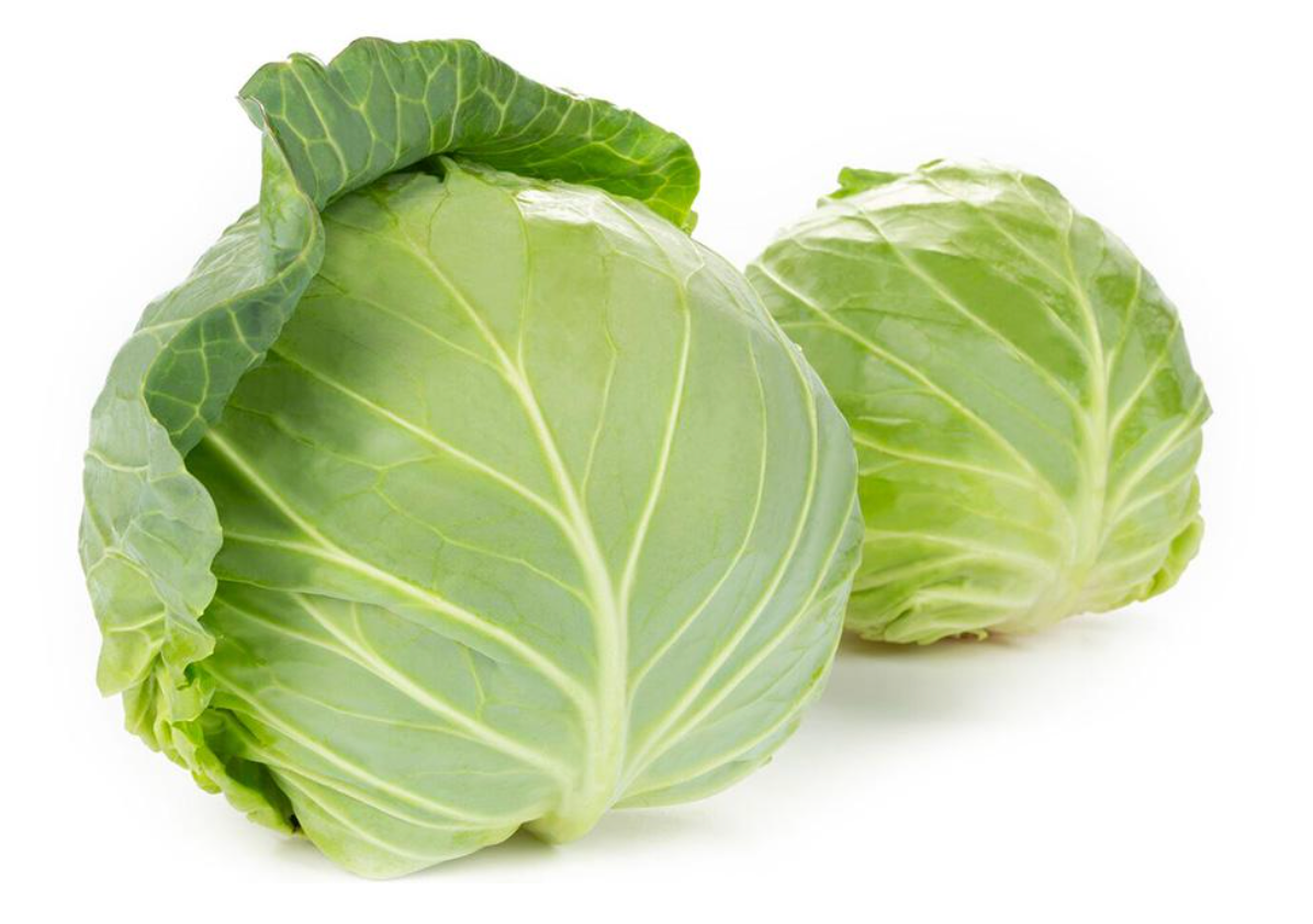 CABBAGE