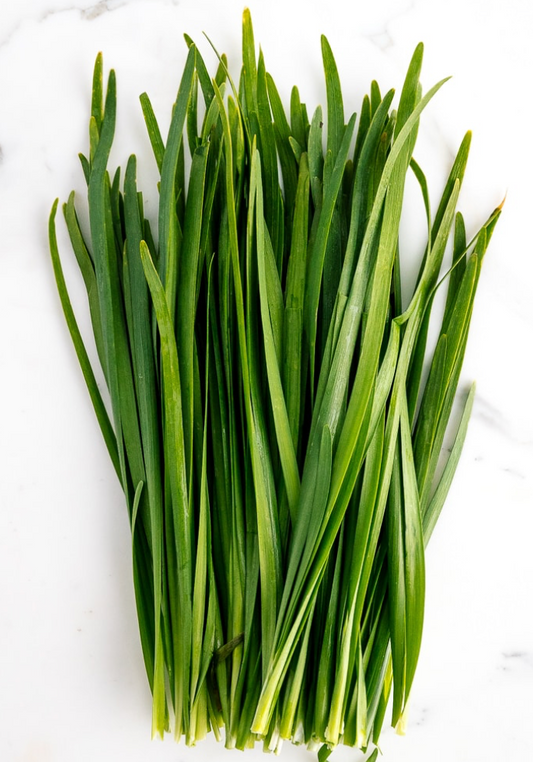 CHIVES