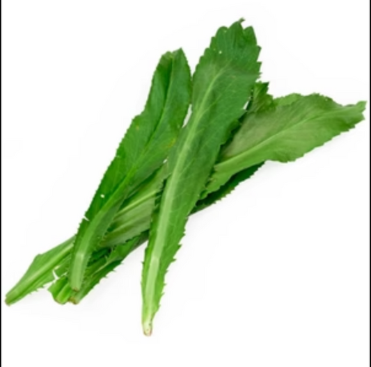 CULANTRO