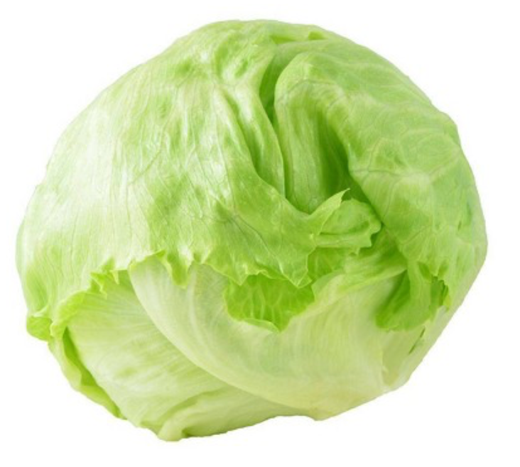 LETTUCE