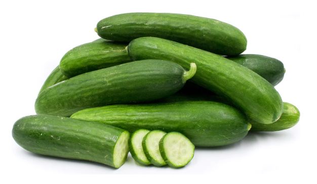 PERSIAN CUCUMBER