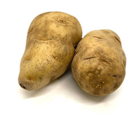 POTATO