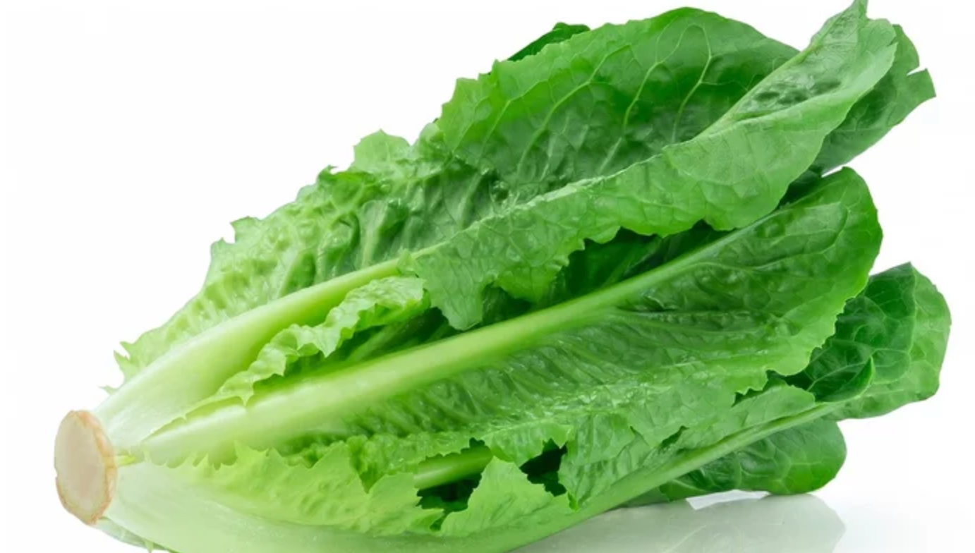 ROMAINE LETTUCE