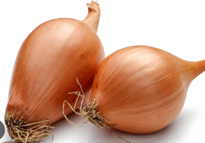 SHALLOT