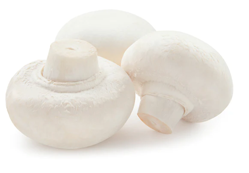 WHITE MUSHROOM