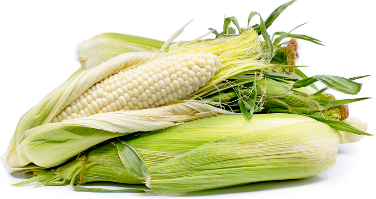 WHITE CORN