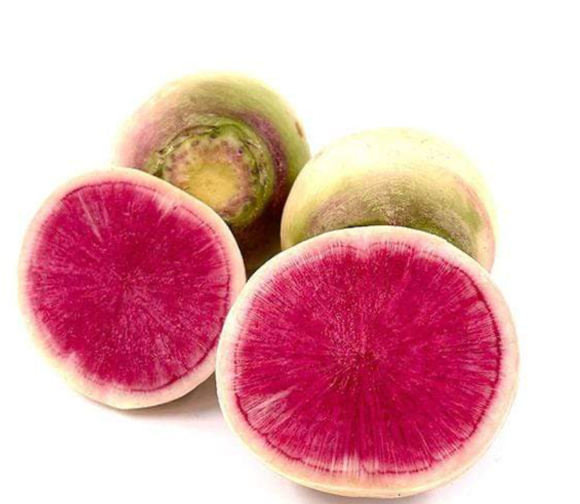 WATERMELON RADISH