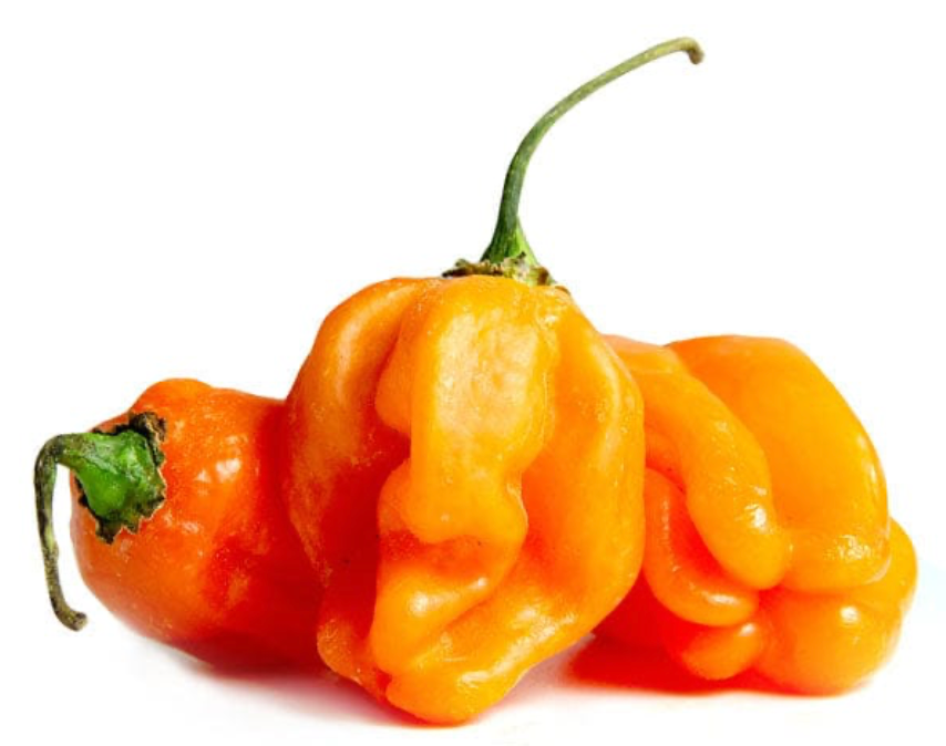 HABANERO