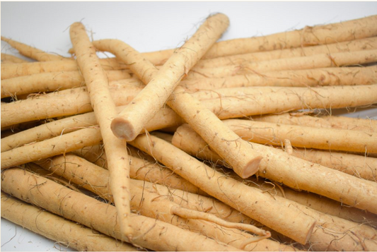 GOBO ROOT